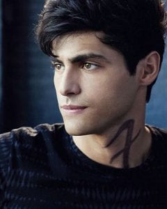 Alec from Shadowhunters